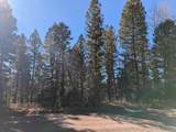 Lot 1369 Skyview Way - Photo 8