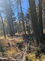 Lot 1369 Skyview Way - Photo 9