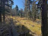 Lot 1227 Rainbow Overlook - Photo 5