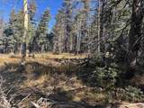 Lot 1227 Rainbow Overlook - Photo 6