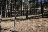 lot 41 Valley Road - Photo 7