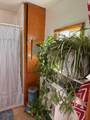 811 Colbert Ave - Photo 12
