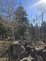 Lot 1142A Panorama Way - Photo 10