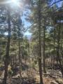 Lot 1142A Panorama Way - Photo 13
