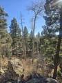 Lot 1142A Panorama Way - Photo 14