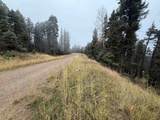 Lot 220 Peak Pl - Photo 2