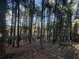 Lot 72 Mammoth Mountain Rd - Photo 4