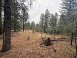 Lot 37 S Valle Grande Trl - Photo 2