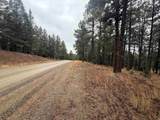 Lot 37 S Valle Grande Trl - Photo 4