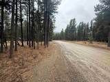 Lot 40 S Valle Grande Trl - Photo 4