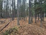 Lot 53 S Valle Grande Trl - Photo 2