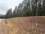 Lot 53 S Valle Grande Trl - Photo 4