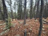 Lot 80 San Juan Dr - Photo 2