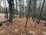 Lot 80 San Juan Dr - Photo 3