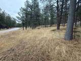 Lot 1305 Sierra Blanca Dr - Photo 3