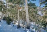 Lot 6 Porcupine Road - Photo 8