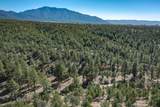 0 Gallina Canyon Road - Photo 18