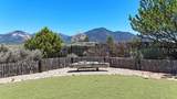 14 Codorniz - Photo 46