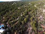 TBD Gallina Canyon - Photo 14
