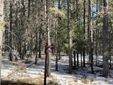 Lot 6 Broadmoor Way - Photo 7