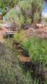 1036 La Cienega Road - Photo 42