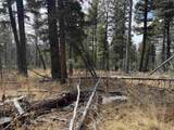 lot 1367 Skyview  Way - Photo 9