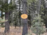 Lot 83 Elk Meadow - Photo 1