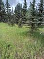 Lot 83 Elk Meadow - Photo 8