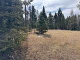 Lot 83 Elk Meadow - Photo 2