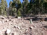 1119 El Camino Real Lot 1119 Nm - Photo 1