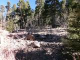 1119 El Camino Real Lot 1119 Nm - Photo 2