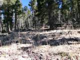 1119 El Camino Real Lot 1119 Nm - Photo 3