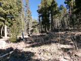 1119 El Camino Real Lot 1119 Nm - Photo 4