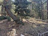 Lot 1031 Armijo - Photo 8
