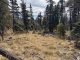 Lot 1356 Skyview Way - Photo 1