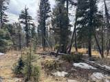 Lot 1356 Skyview Way - Photo 10