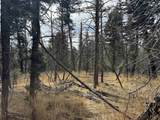 Lot 1356 Skyview Way - Photo 2
