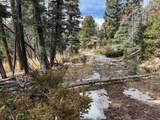 Lot 1356 Skyview Way - Photo 4