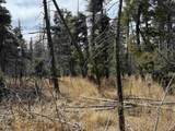 Lot 1356 Skyview Way - Photo 6