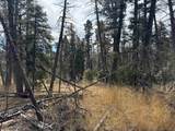 Lot 1356 Skyview Way - Photo 8