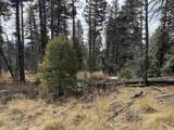 Lot 1356 Skyview Way - Photo 9