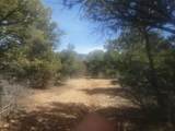 Lot 41 Lower Pinabete Road - Photo 13