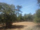 Lot 41 Lower Pinabete Road - Photo 14