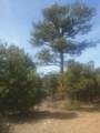 Lot 41 Lower Pinabete Road - Photo 15