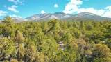 Lot 41 Lower Pinabete Road - Photo 3