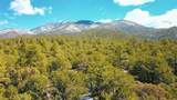 Lot 41 Lower Pinabete Road - Photo 5