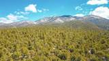 Lot 41 Lower Pinabete Road - Photo 9