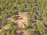 Lot 85 Pinabete Road - Photo 15