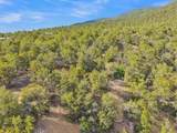 Lot 85 Pinabete Road - Photo 18