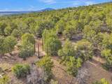 Lot 85 Pinabete Road - Photo 19